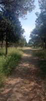 20230524_105951.jpg 20230524_105951.jpg