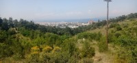 20230524_110534.jpg 20230524_110534.jpg