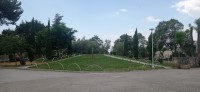 20230525_131300.jpg 20230525_131300.jpg