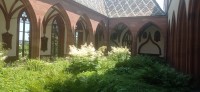 20230603_134237.jpg 20230603_134237.jpg