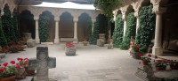 20230614_101921.jpg 20230614_101921.jpg