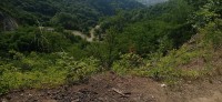 20230702_104717.jpg 20230702_104717.jpg