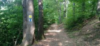 20230703_112234.jpg 20230703_112234.jpg