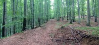 20230703_120320.jpg 20230703_120320.jpg