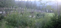 20230711_194645.jpg 20230711_194645.jpg