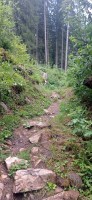 20230712_174924.jpg 20230712_174924.jpg