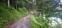 20230713_100238.jpg 20230713_100238.jpg
