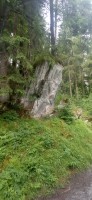 20230713_101100.jpg 20230713_101100.jpg