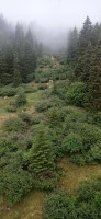 20230713_110828.jpg 20230713_110828.jpg