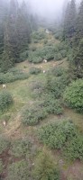20230713_110832.jpg 20230713_110832.jpg
