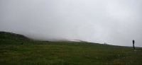 20230713_115939.jpg 20230713_115939.jpg