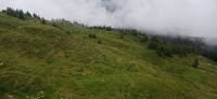 20230713_123308.jpg 20230713_123308.jpg