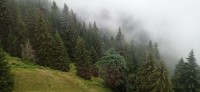 20230713_123530.jpg 20230713_123530.jpg