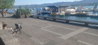 20230714_182324.jpg 20230714_182324.jpg