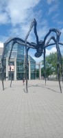 20230731_115309.jpg 20230731_115309.jpg