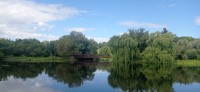 20230801_101216.jpg 20230801_101216.jpg