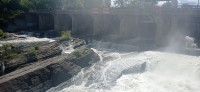 20230801_105145.jpg 20230801_105145.jpg