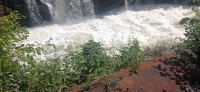 20230801_105229.jpg 20230801_105229.jpg