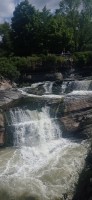 20230801_105338.jpg 20230801_105338.jpg