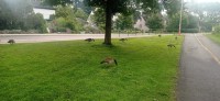 20230803_091800.jpg 20230803_091800.jpg