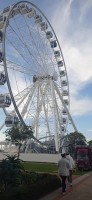 20230812_170248.jpg 20230812_170248.jpg