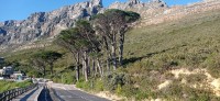 20230815_084814.jpg 20230815_084814.jpg