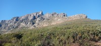 20230815_085005.jpg 20230815_085005.jpg