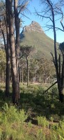 20230815_090143.jpg 20230815_090143.jpg