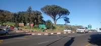 20230815_091126.jpg 20230815_091126.jpg
