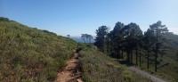 20230815_095101.jpg 20230815_095101.jpg