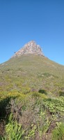 20230815_095436.jpg 20230815_095436.jpg