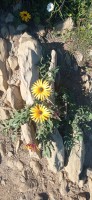 20230815_102818.jpg 20230815_102818.jpg