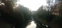 20231006_075524.jpg 20231006_075524.jpg