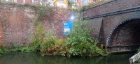 20231021_094542.jpg 20231021_094542.jpg