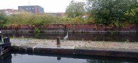 20231021_095937.jpg 20231021_095937.jpg