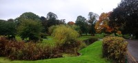 20231021_111434.jpg 20231021_111434.jpg