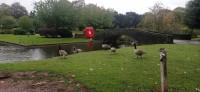 20231021_111543.jpg 20231021_111543.jpg