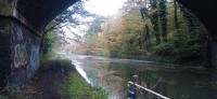 20231023_105250.jpg 20231023_105250.jpg