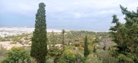 20231102_095125.jpg 20231102_095125.jpg