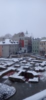 20231118_071635.jpg 20231118_071635.jpg