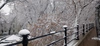 20231118_093040.jpg 20231118_093040.jpg