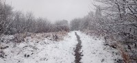 20231118_100400.jpg 20231118_100400.jpg