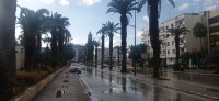 20231217_094724.jpg 20231217_094724.jpg