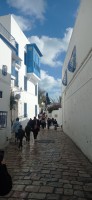 20231217_105951.jpg 20231217_105951.jpg