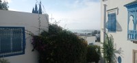20231217_110150.jpg 20231217_110150.jpg