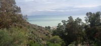 20231217_112008.jpg 20231217_112008.jpg