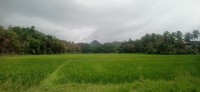 20240126_110317.jpg 20240126_110317.jpg