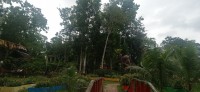 20240126_112957.jpg 20240126_112957.jpg
