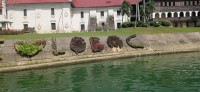 20240126_134210.jpg 20240126_134210.jpg