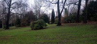20240207_145614.jpg 20240207_145614.jpg